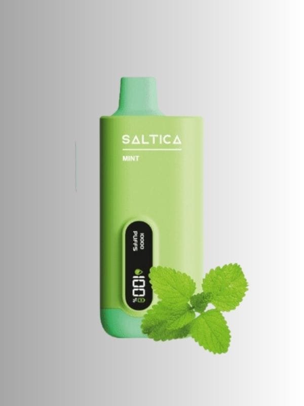 Saltica-digital-10000-puff-mint